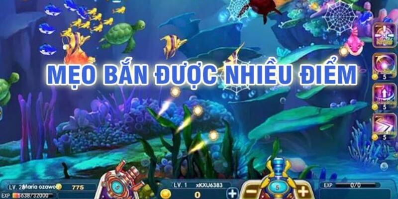 mu8 đá gà