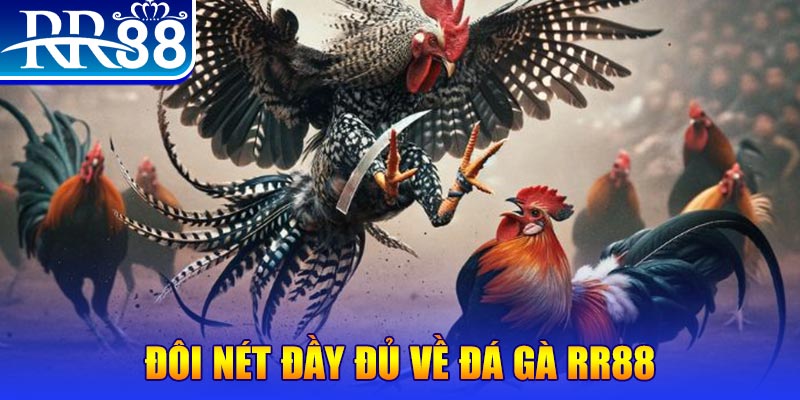 mu8 1 slot là gì