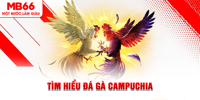 mu8 tại sao không tải được nổ hũ