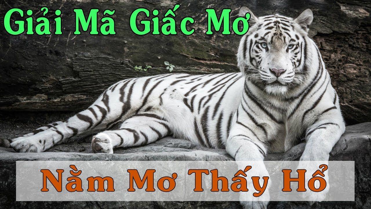 mu8 xổ số miền trung