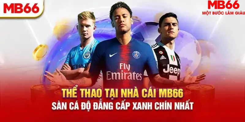 mu8 HB Điện Tử