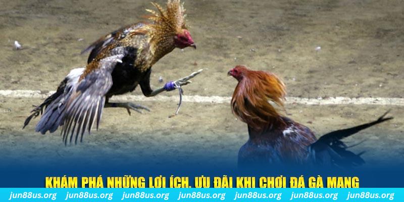 mu8 Tài Xỉu 2
