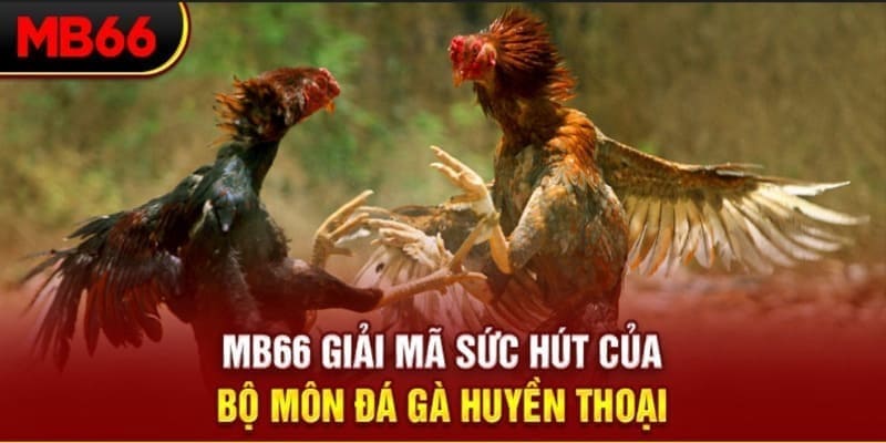 mu8 long bảo trong baccarat là gì
