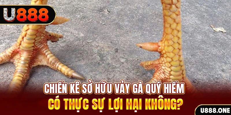 mu8 game cá cược máy bay