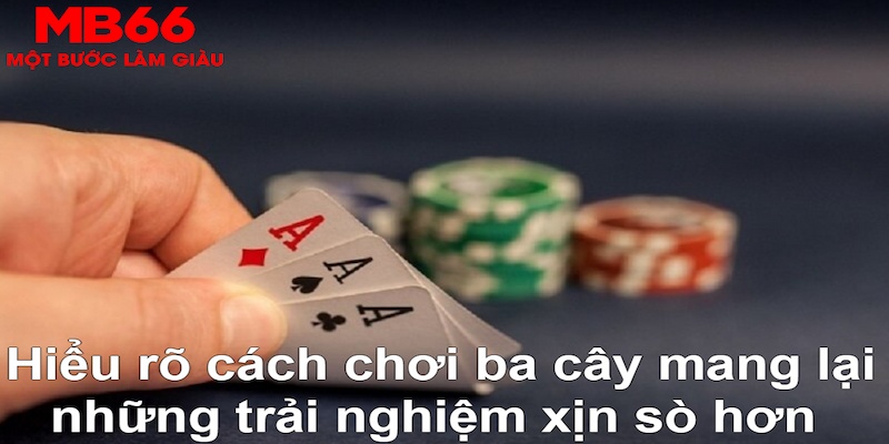 mu8 xổ số quảng trị