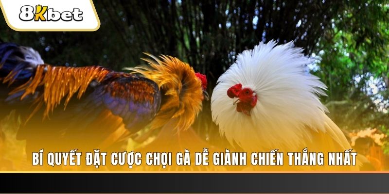 mu8 may club nổ hũ