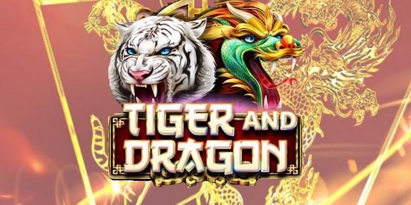 mu8 cá cược tiếng anh là gì