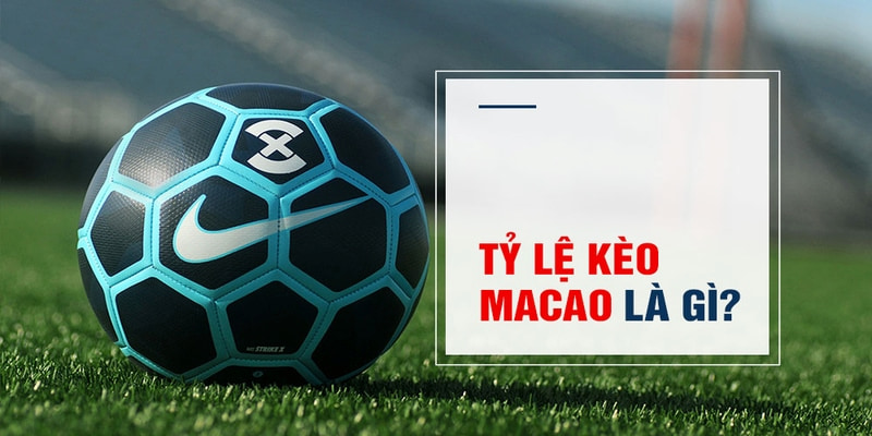 mu8 Trăm Knorr